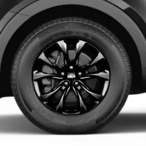 Zwart of Donkergrijs