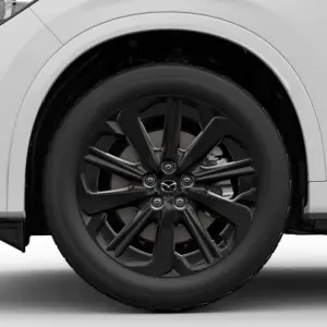 Zwart of Donkergrijs