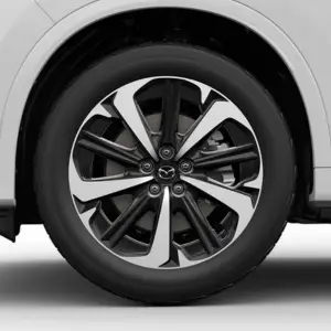 Tweekleurig met zilveren rand